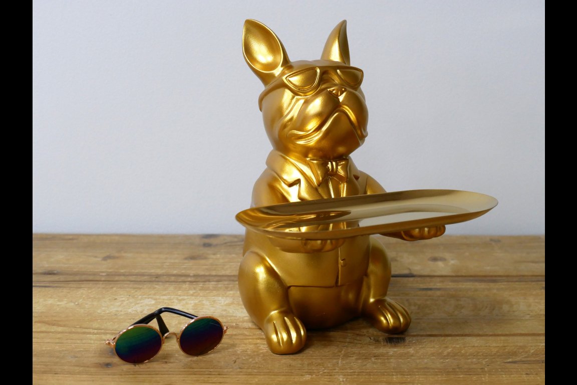 Dog With Tray
