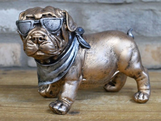 Dog With Shades