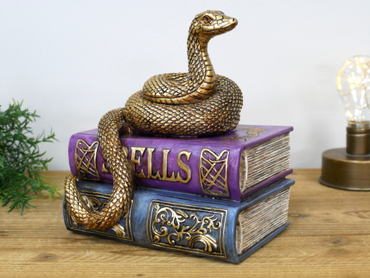 Snake On Spell Books