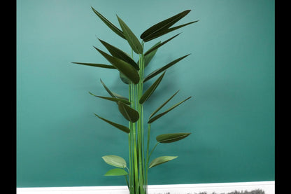Artificial Canna