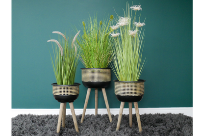 Set Of Three Planters