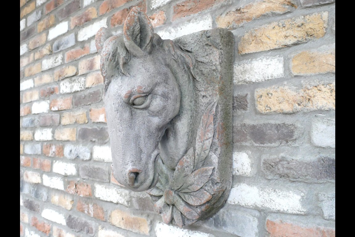 Horse Head