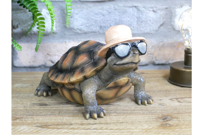 Holiday Tortoise