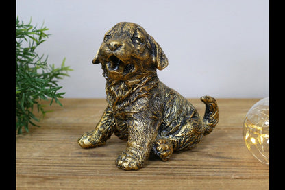 Puppy