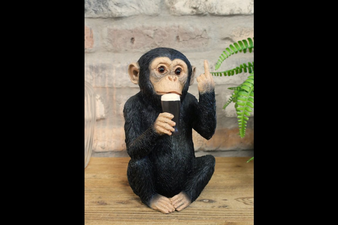 Up Yours Monkey McGuinness