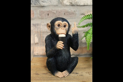 Up Yours Monkey McGuinness