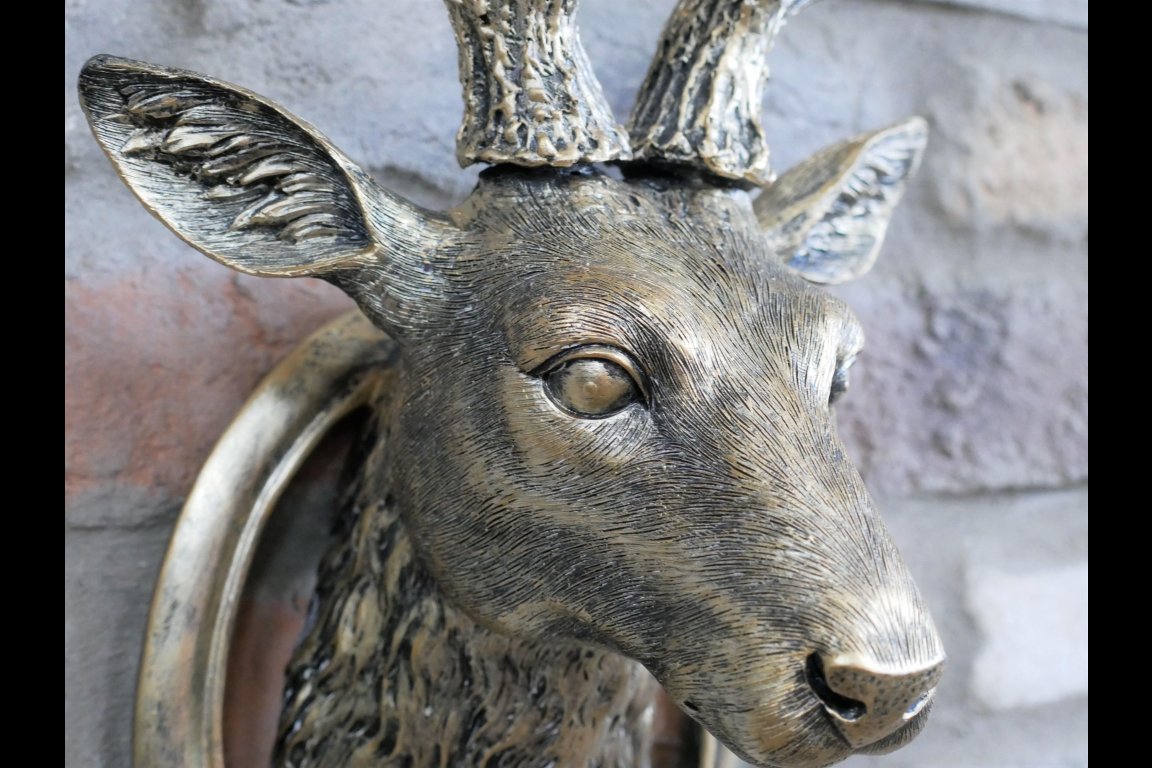 Stag Head