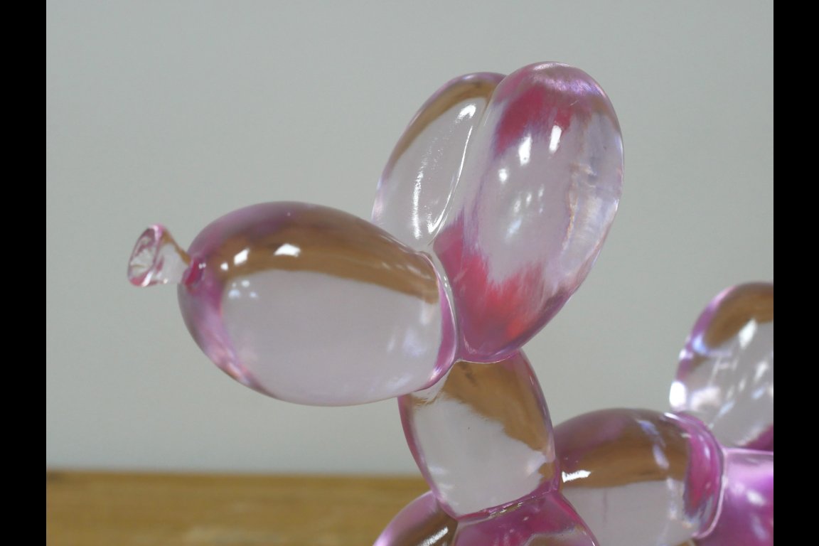 Clear Pink Dog