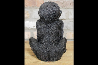 Baby Gorilla