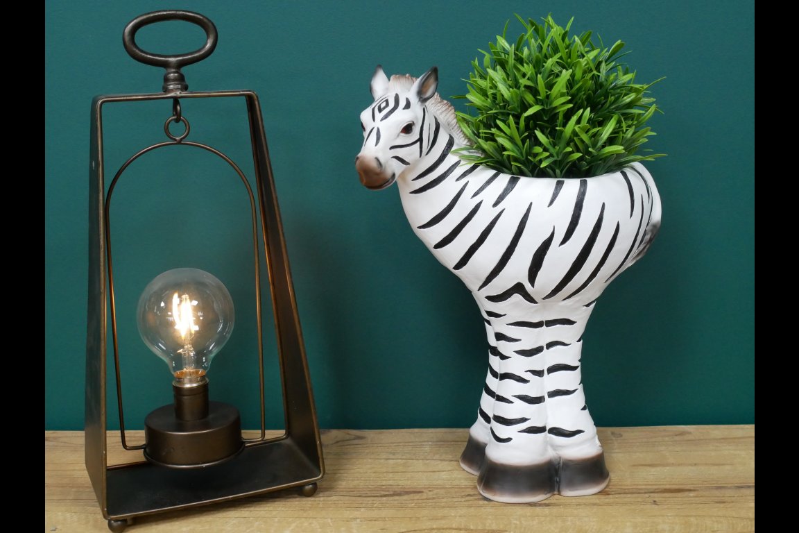 Zebra Planter