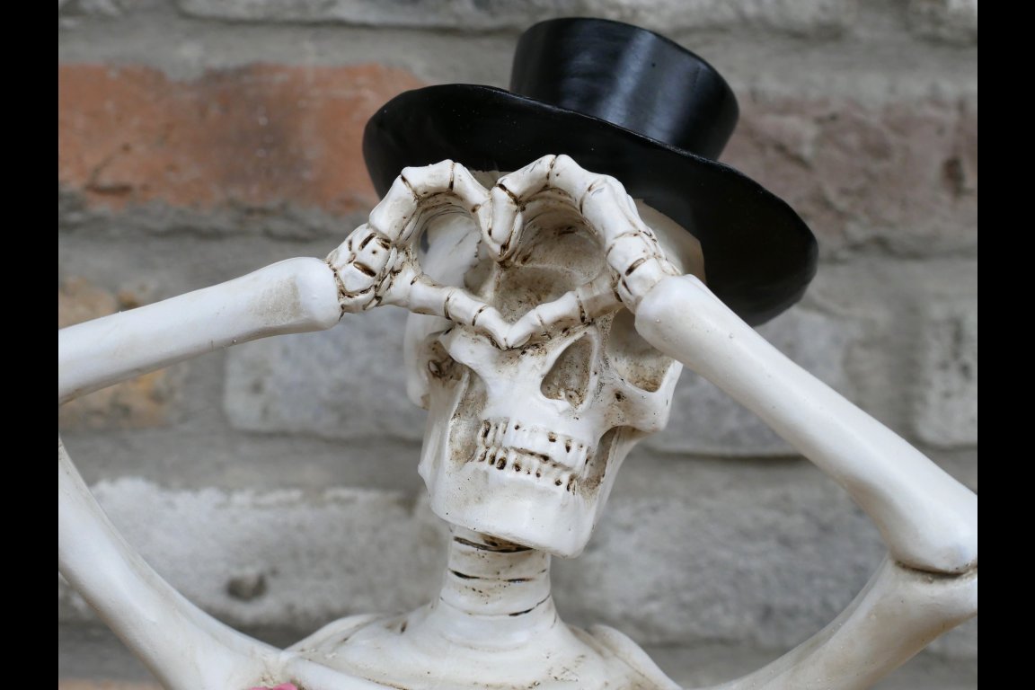 Love Skeleton