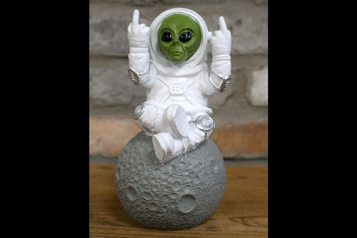 Up Yours Alien