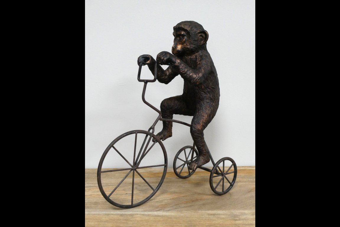 Monkey On Tricycle