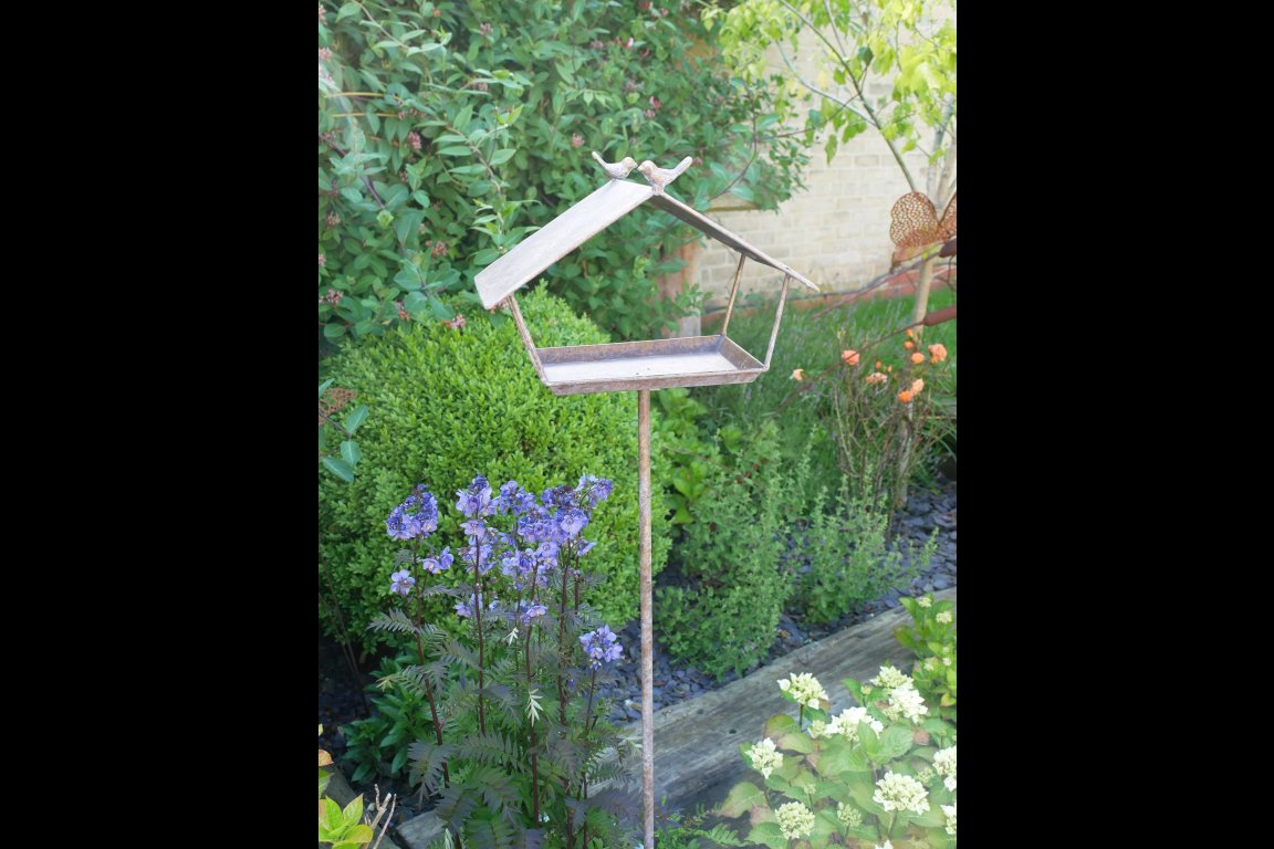 Bird Feeder