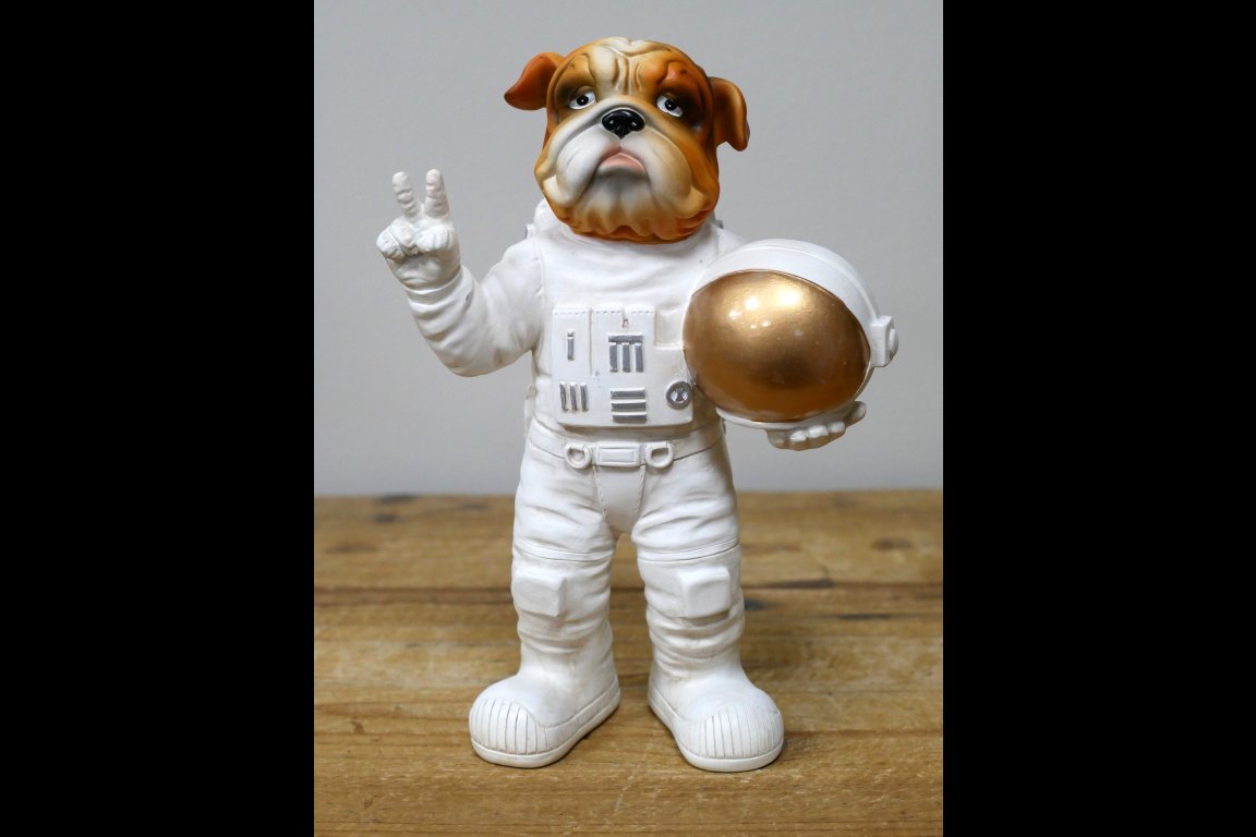 Elon Woof Spaceman
