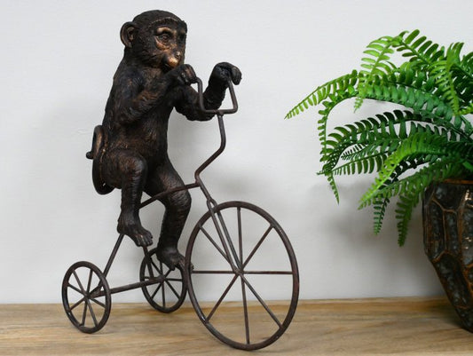 Monkey On Tricycle