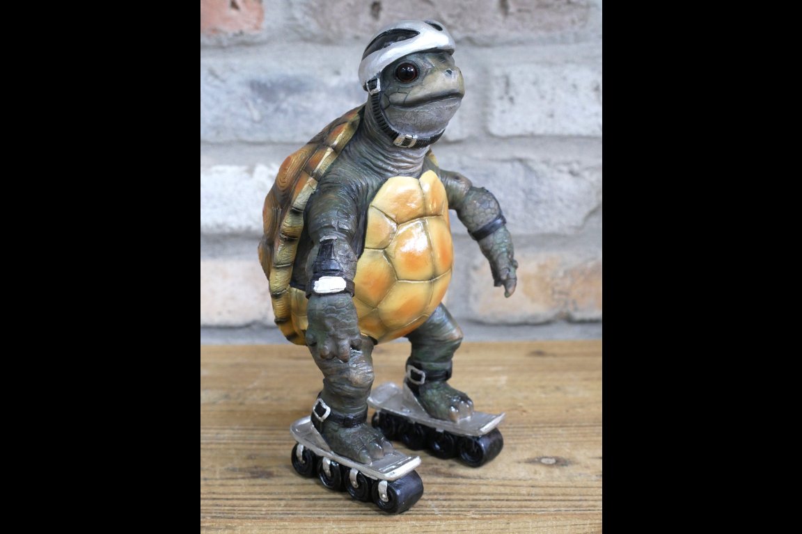 Speedy Tortoise