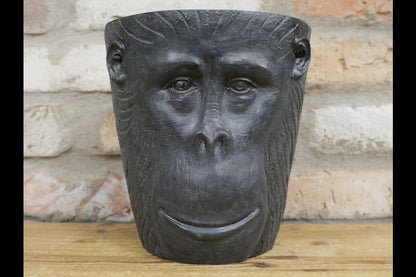 Monkey Head Planter