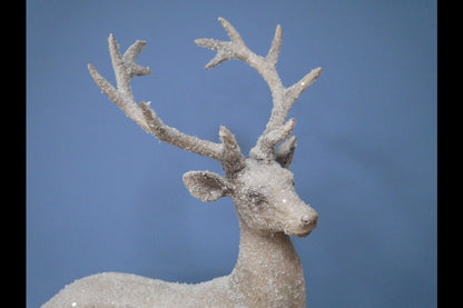 Stag On Ball