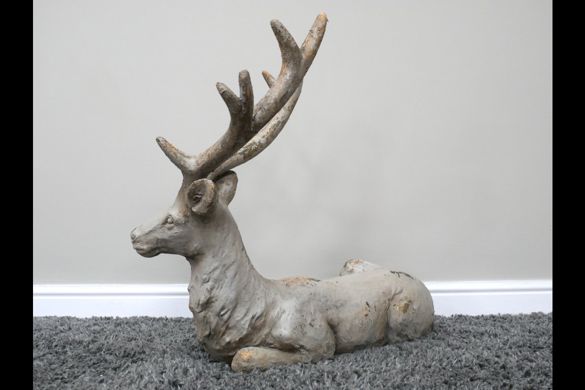 Laying Stag
