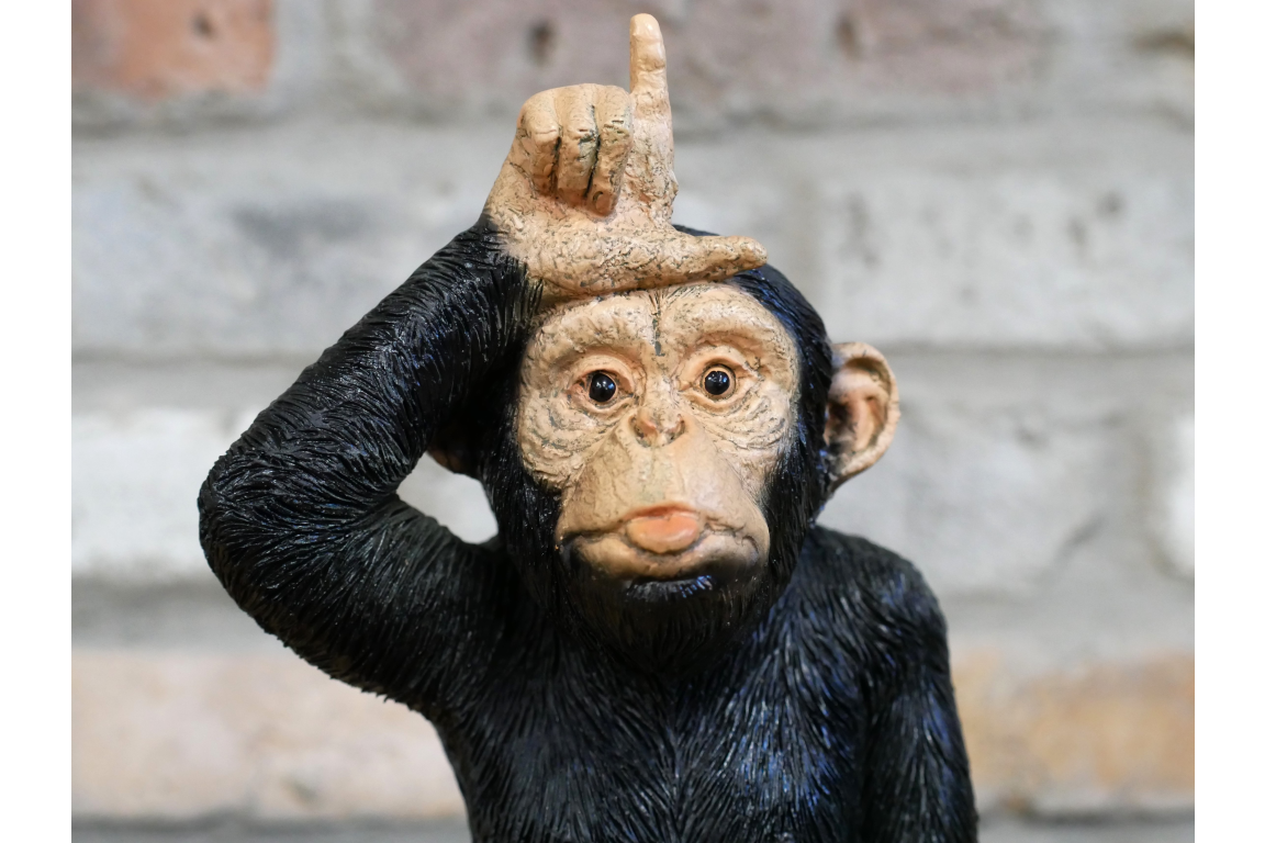 Little Loser Monkey