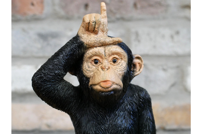 Little Loser Monkey