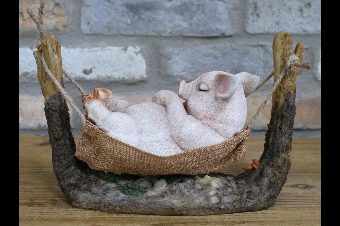 Pig In Hammock