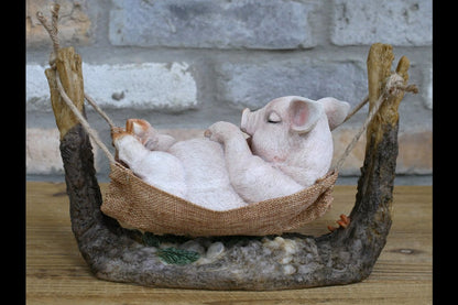 Pig In Hammock