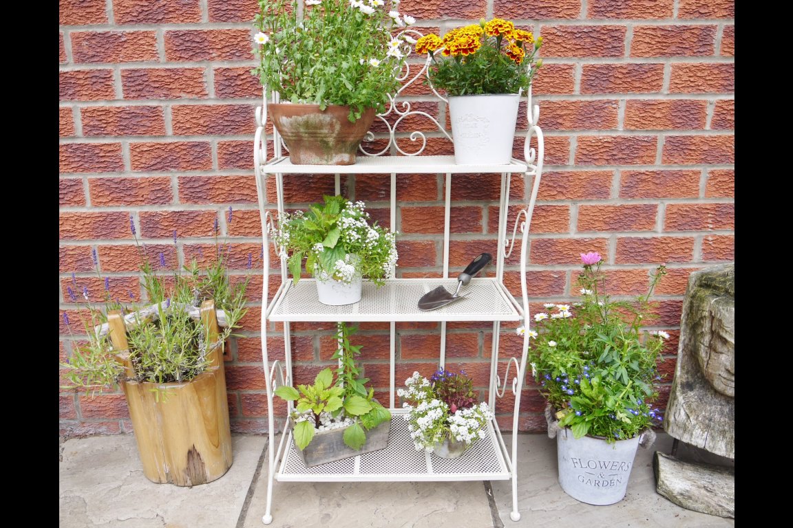 3 Tier Shelf