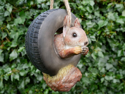 Squirrel In Tyre