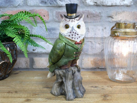 Owl In Suit
