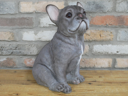 Sitting Dog (Frenchie)