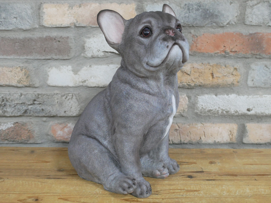 Sitting Dog (Frenchie)