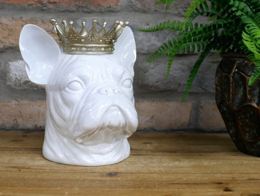 Frenchie With Crown