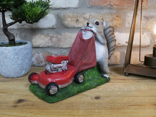 Squirrel Grasscutter
