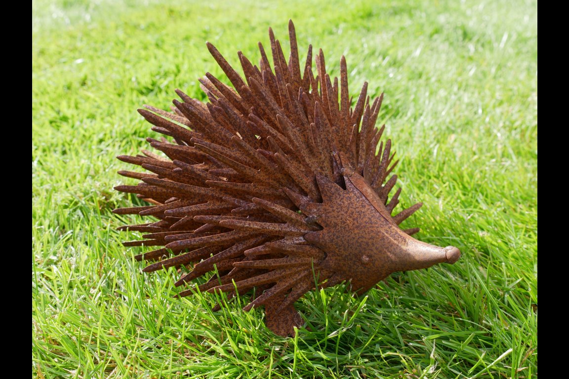 Rusty Hedgehog