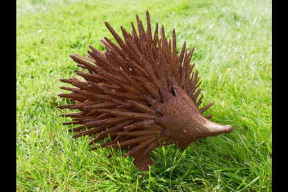 Rusty Hedgehog
