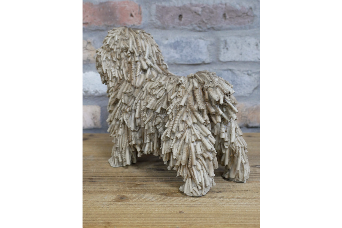 Shaggy Dog