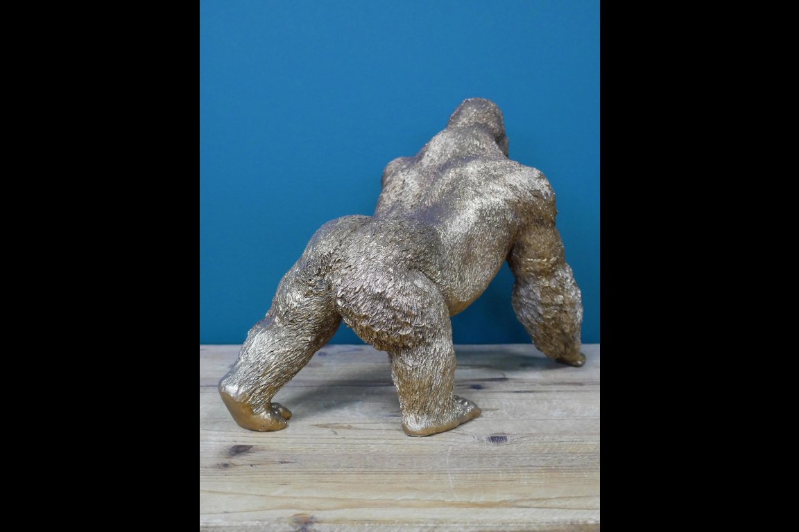 Gorilla