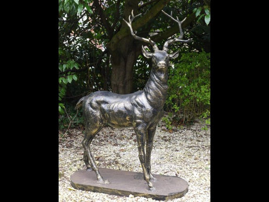Stag (Looking Left)