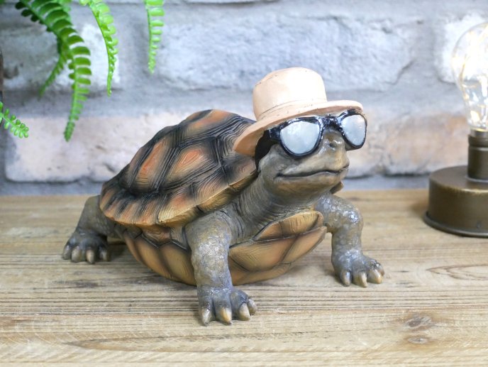 Holiday Tortoise