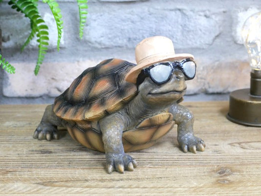 Holiday Tortoise