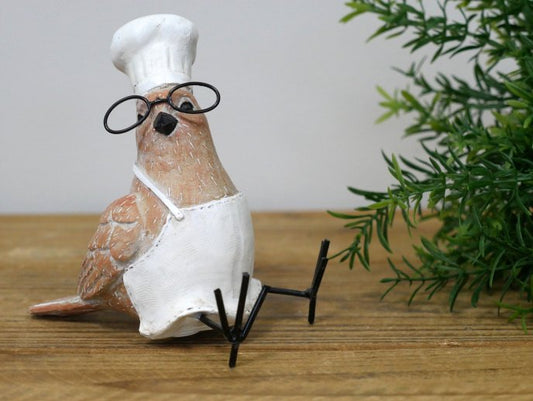 Bird Chef