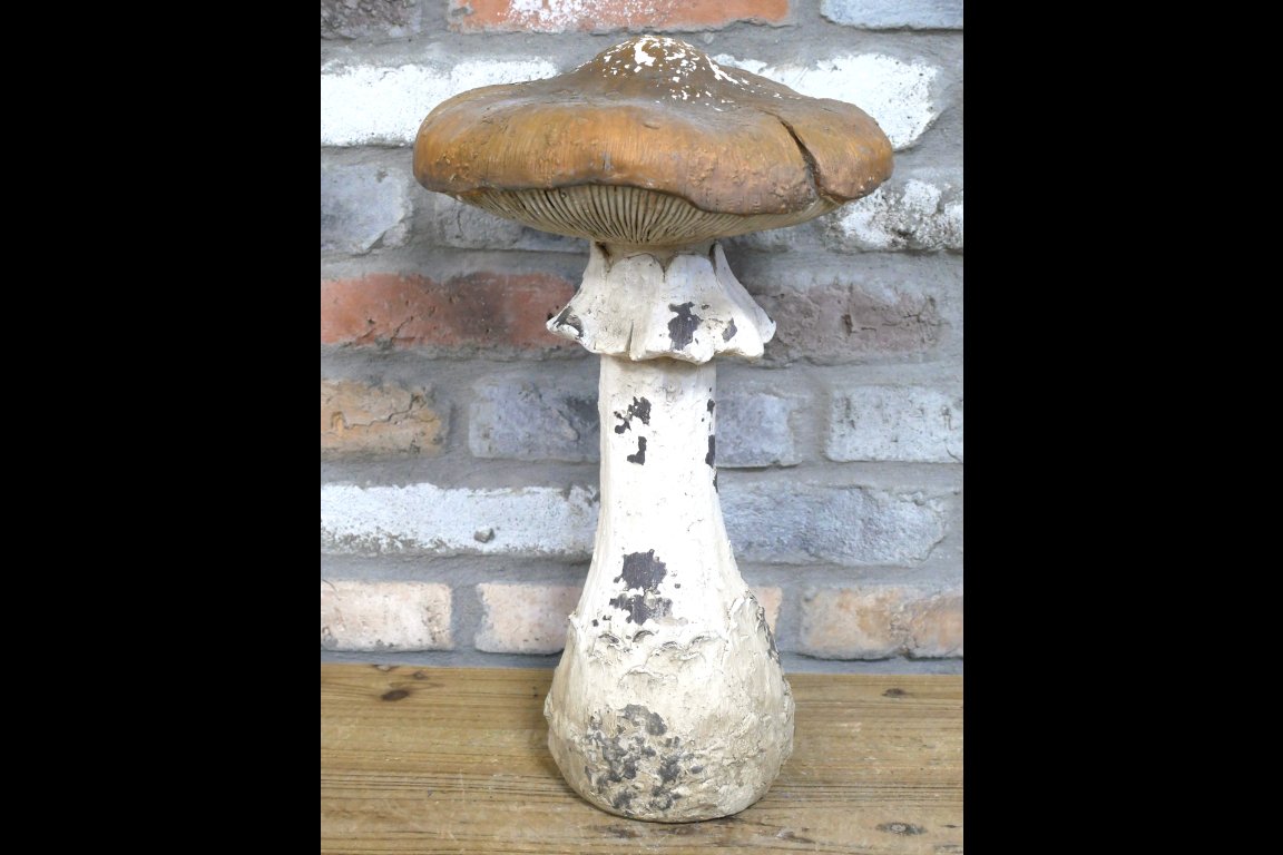 Mushroom