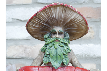 Mushroom Man