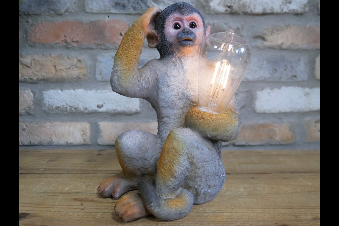Monkey Light