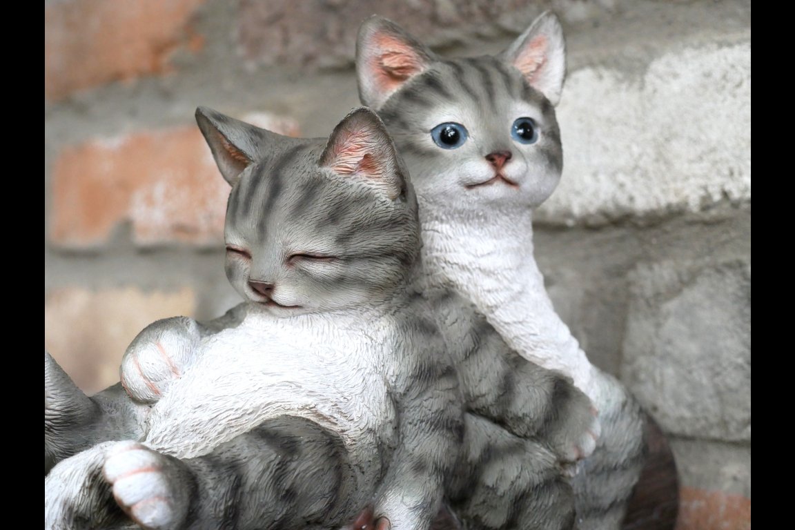 Cats On A Branch
