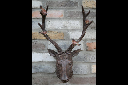 Stag Head