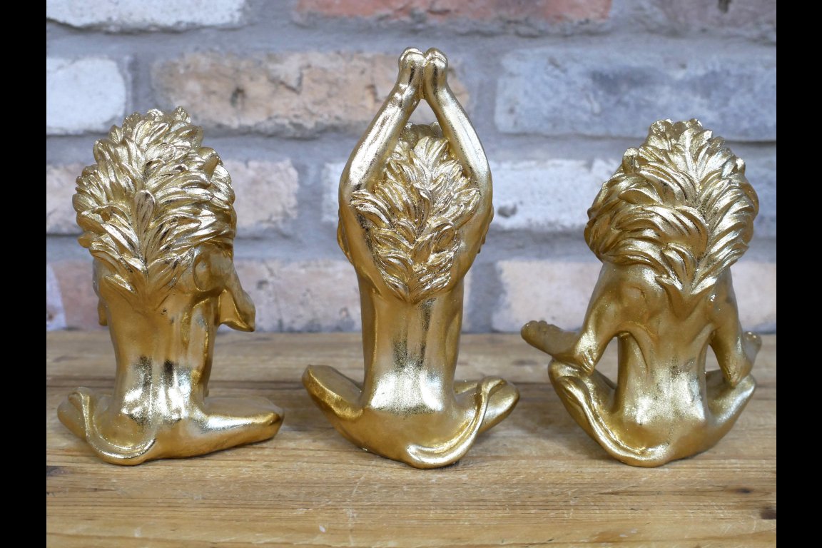 Set Of 3 Yoga Lions