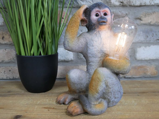 Monkey Light